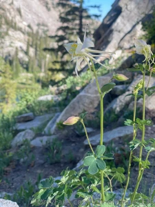 Lake mary and lake catherine hike part 3