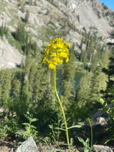 Lake mary and lake catherine hike