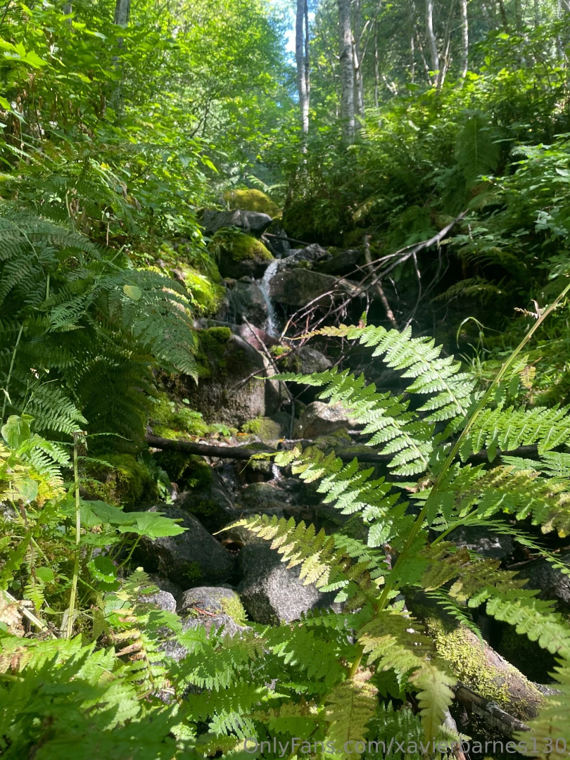 Iron goat trail wa part 13 