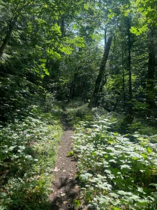 Iron goat trail wa part 15
