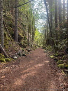 Iron goat trail wa part 12