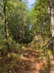 Iron goat trail wa part 6