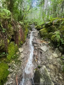 Iron goat trail wa