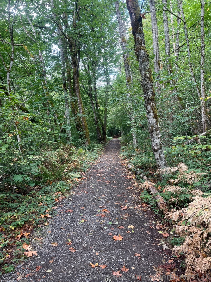 Iron goat trail wa part 1 
