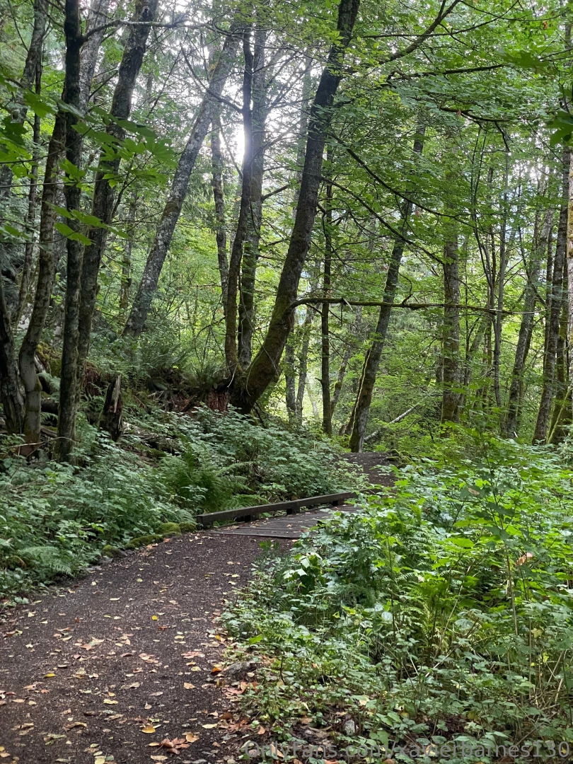 Iron goat trail wa part 5 