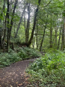 Iron goat trail wa part 5
