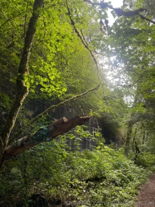 Iron goat trail wa part 7