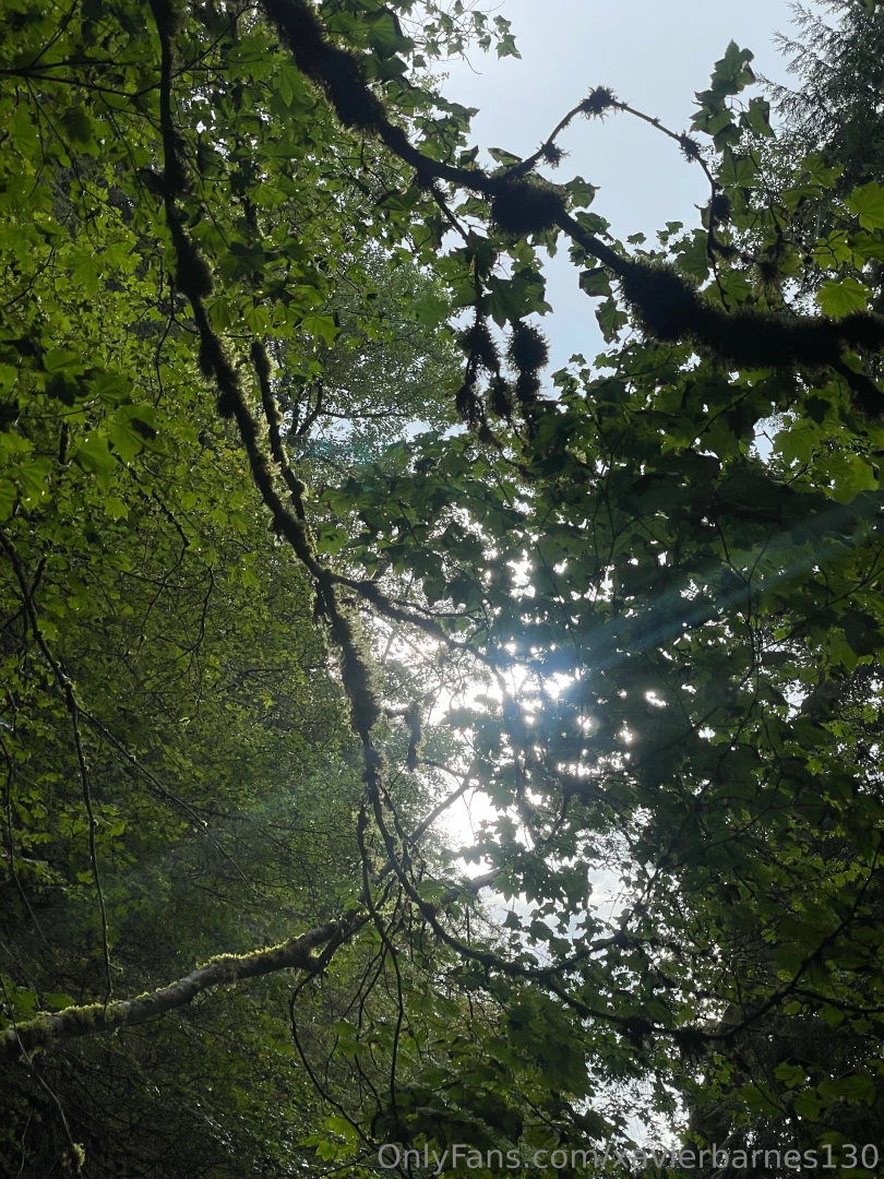 Iron goat trail wa part 2 