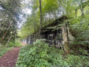 Iron goat trail wa part 11