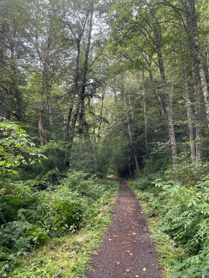 Iron goat trail wa part 3 