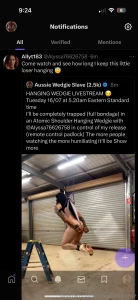 Will be streaming on twitter x