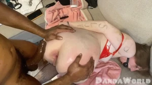 Bunny punishment session it s gape-tastic part two cumming tomorrow