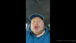 Big fat eats burgers and shakes and cookies until hes full being fat