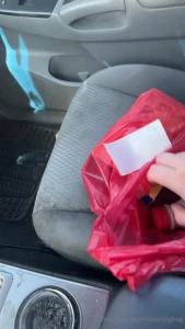 Fat sloppy pig stuffs itself for three hours on the way home no wonder