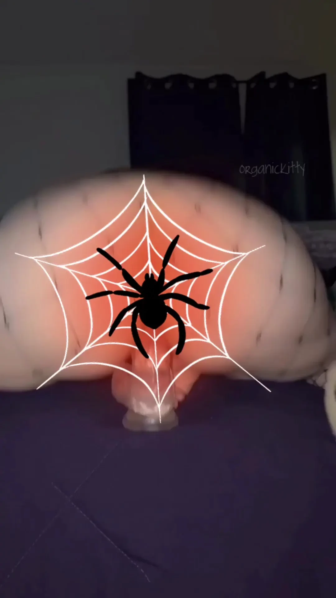 Last chance to own these retiring videos this exclusive bundle part 2 