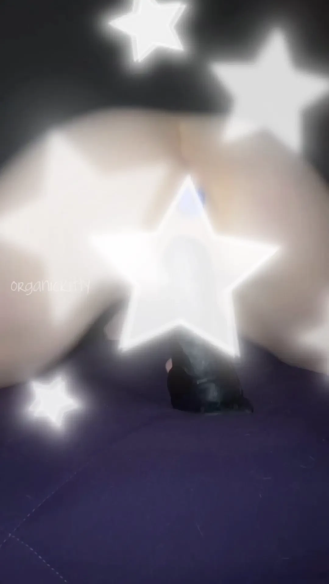 Last chance to own these retiring videos this exclusive bundle part 4 