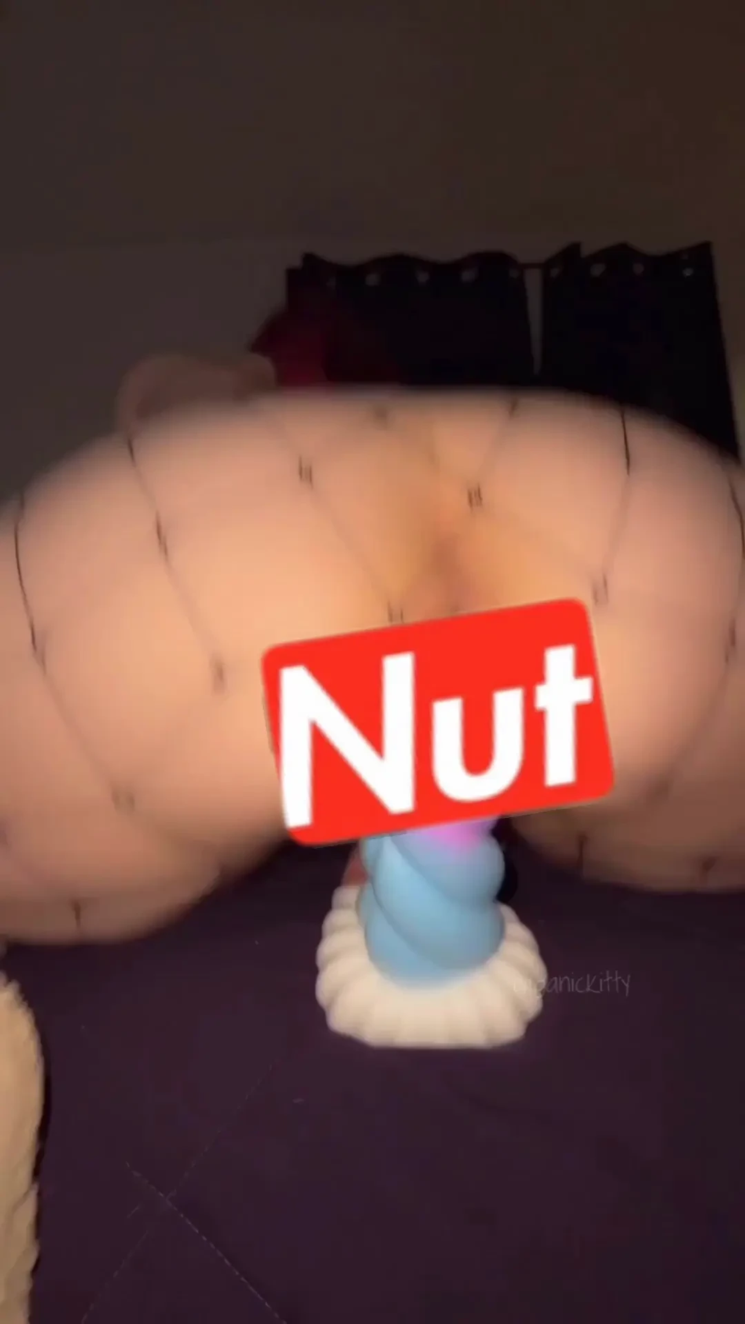 Last chance to own these retiring videos this exclusive bundle part 3 