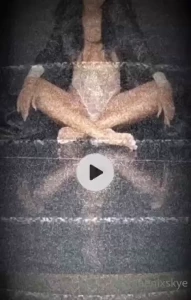 Www onlyfans com darkphoenixmagazine