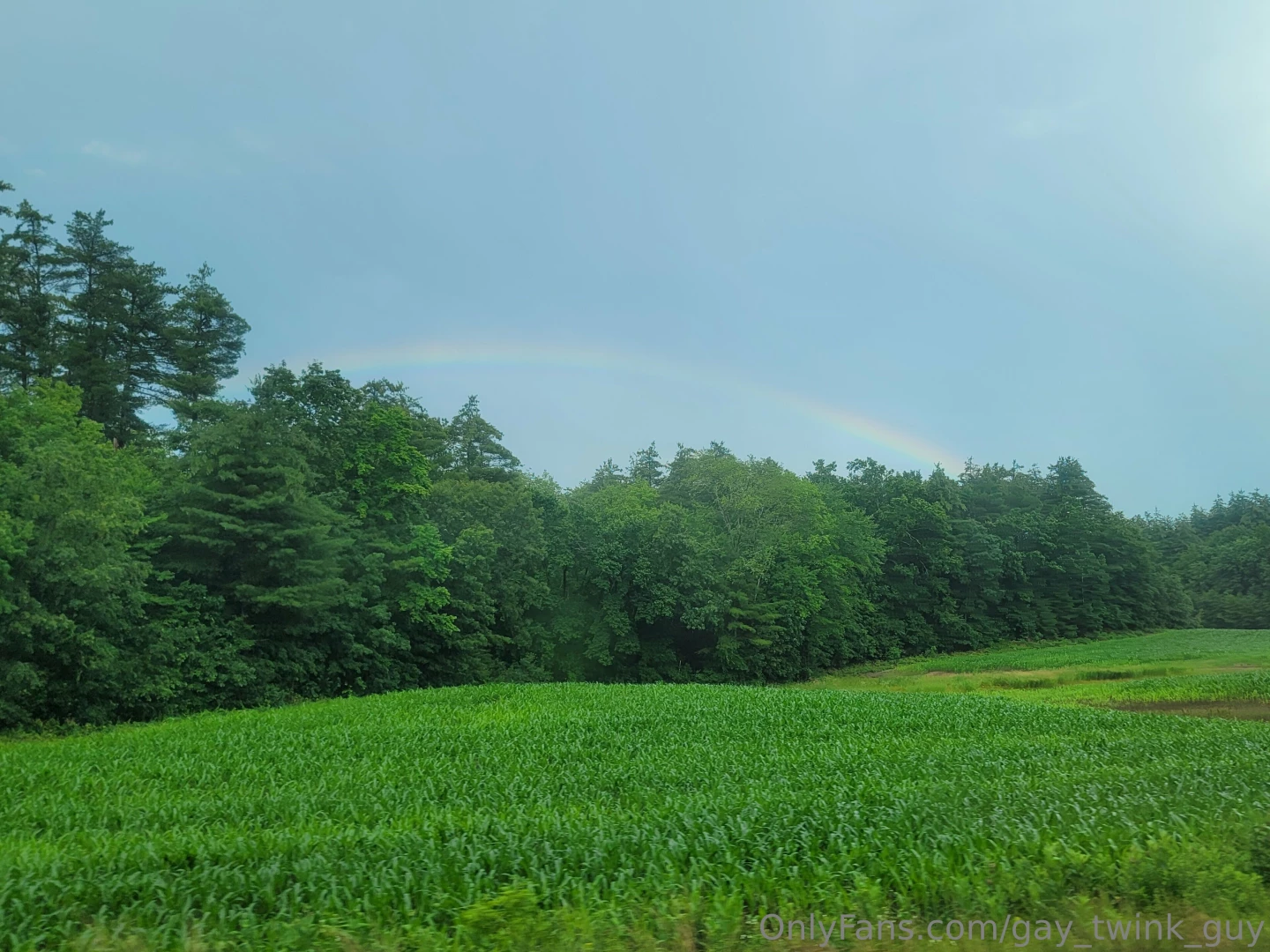 I love pride month thank you to everyone who subscribed and wished me part 1 