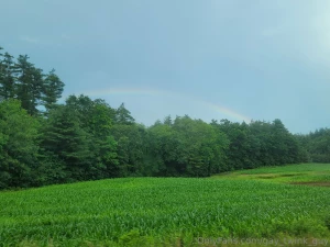 I love pride month thank you to everyone who subscribed and wished me part 1