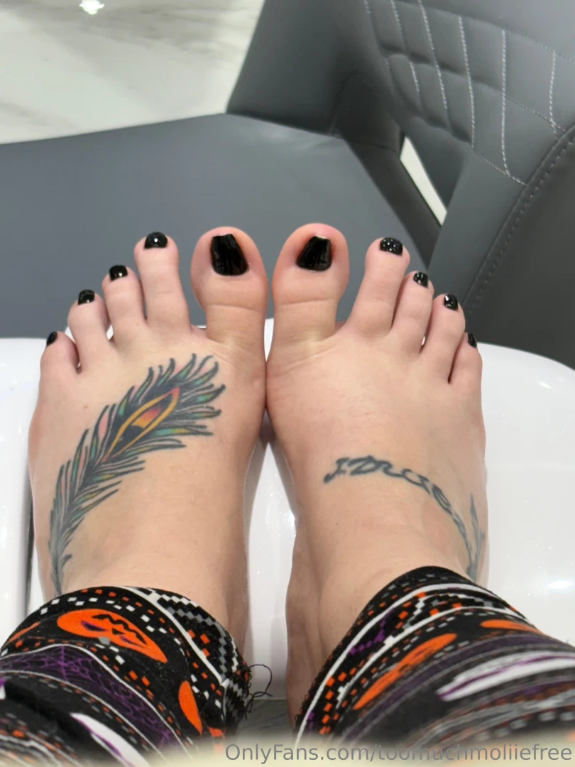 New pedi part 135 