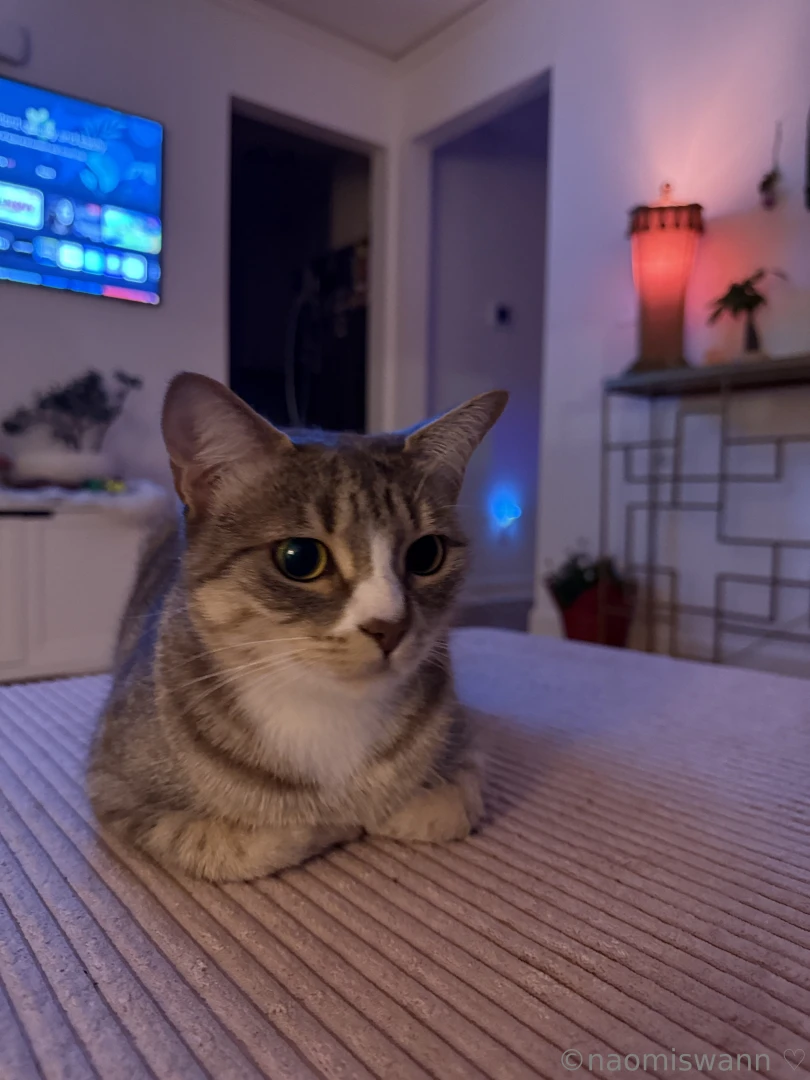 Finally showing you my pussy 