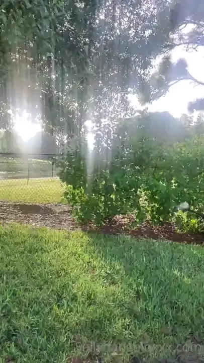 Good morning thon or thongless 