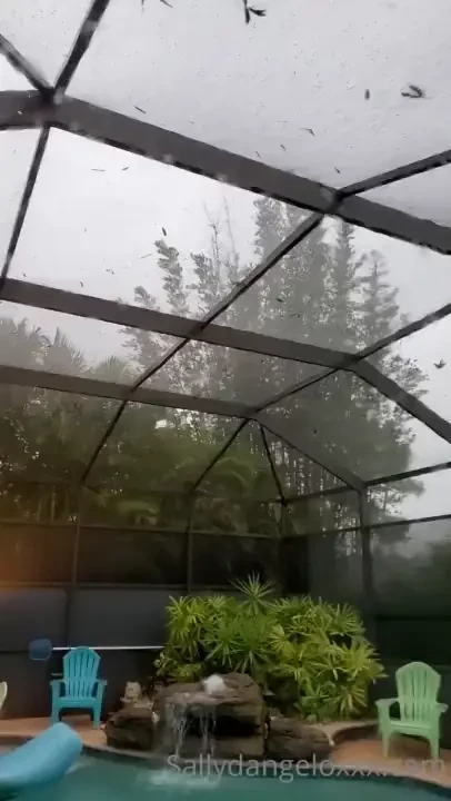 Your weather girl sally here s what s happening in my area at the 