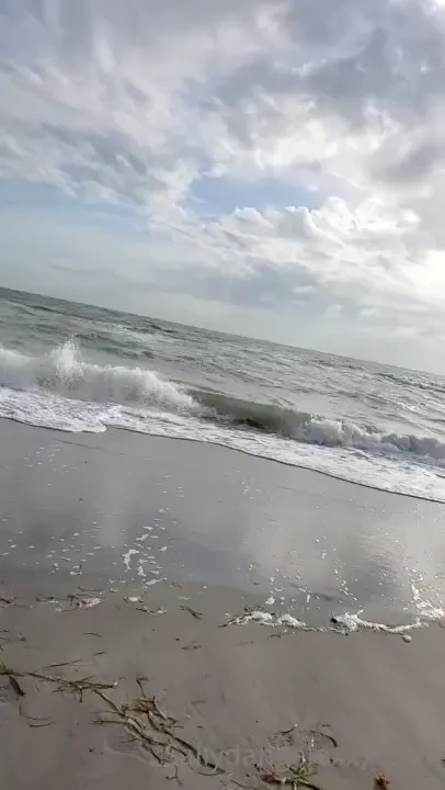 Today after last night s storm 