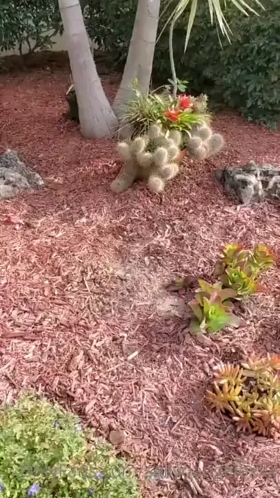 People ask me what i like to do in my past time and this was long over 