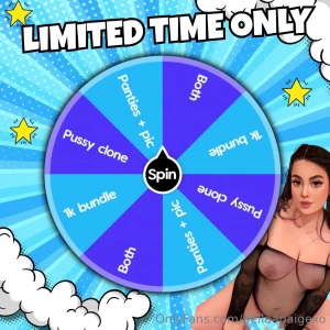 Limited time wheel shipping free delivery for this wheel 1 spin 25 2