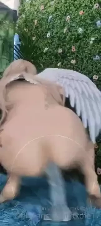 Https onlyfans com 463334436 kkole17 part 1 