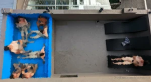 Best 10 collection of july 2021 to 24 total 159 36 down to 27 09 83 part 2