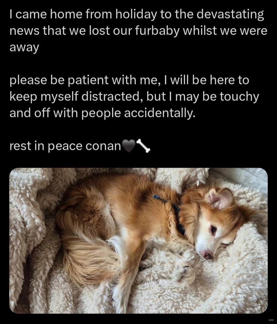 For those that don t follow my other socials 