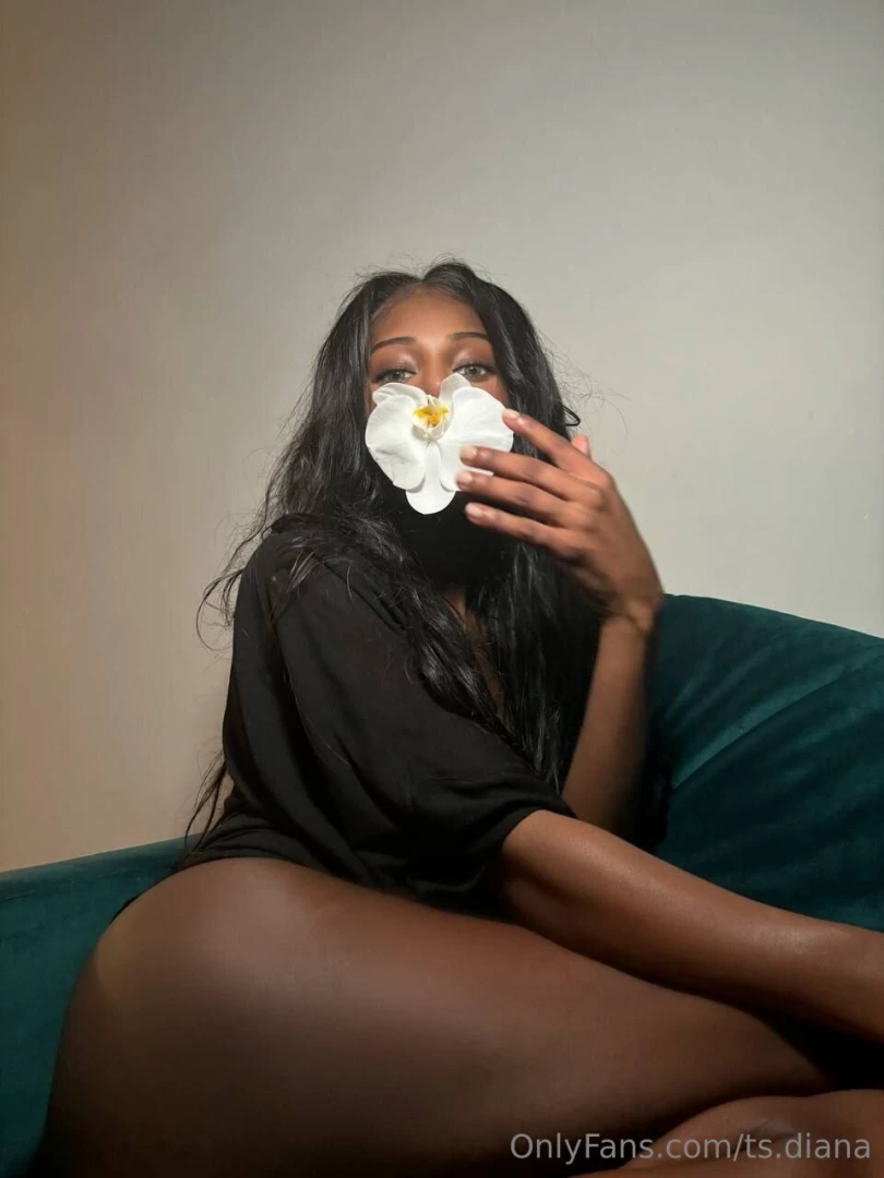 Can you guess my favorite flower part 1 