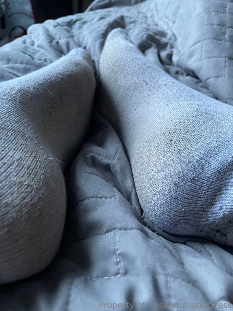 Don t forget i sell worn socks if you want to give them a sniff 