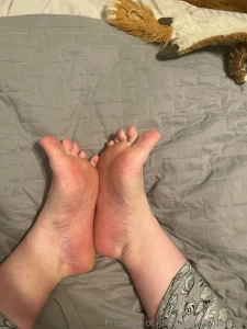 Happy hump day part 1763