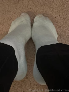 My socks got dirty on my walk this morning