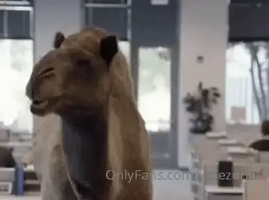 It s hump day part 20 