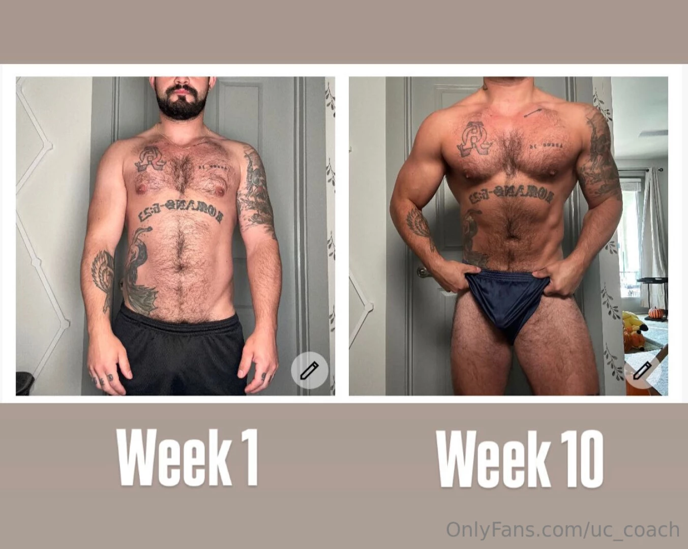 Online coaching is back meals plans workout routines daily support i 