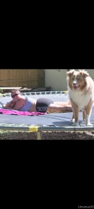 Tanning and of course my pup has to join