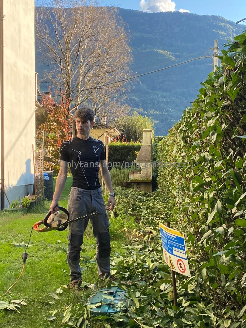 Gardenaking ho dovuto tagliare ben 150 metri della siepe di casa mia e 