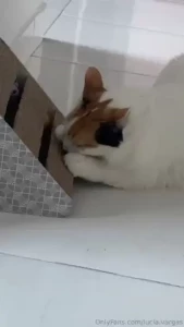 Press play and prepare to be overwhelmed by the cuteness