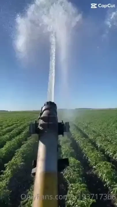 Tik-tok fun curiosity of mona s man enjoy some of these are definitely part 2 