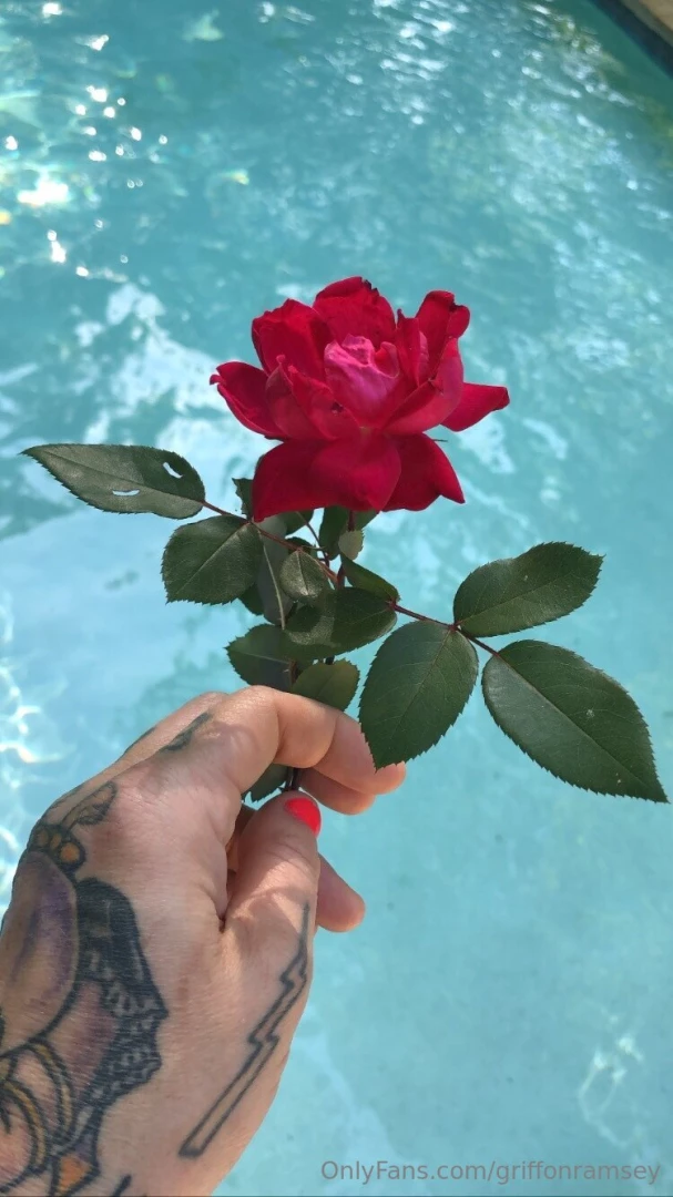 It s february the month of love and i m out there looking for it in 