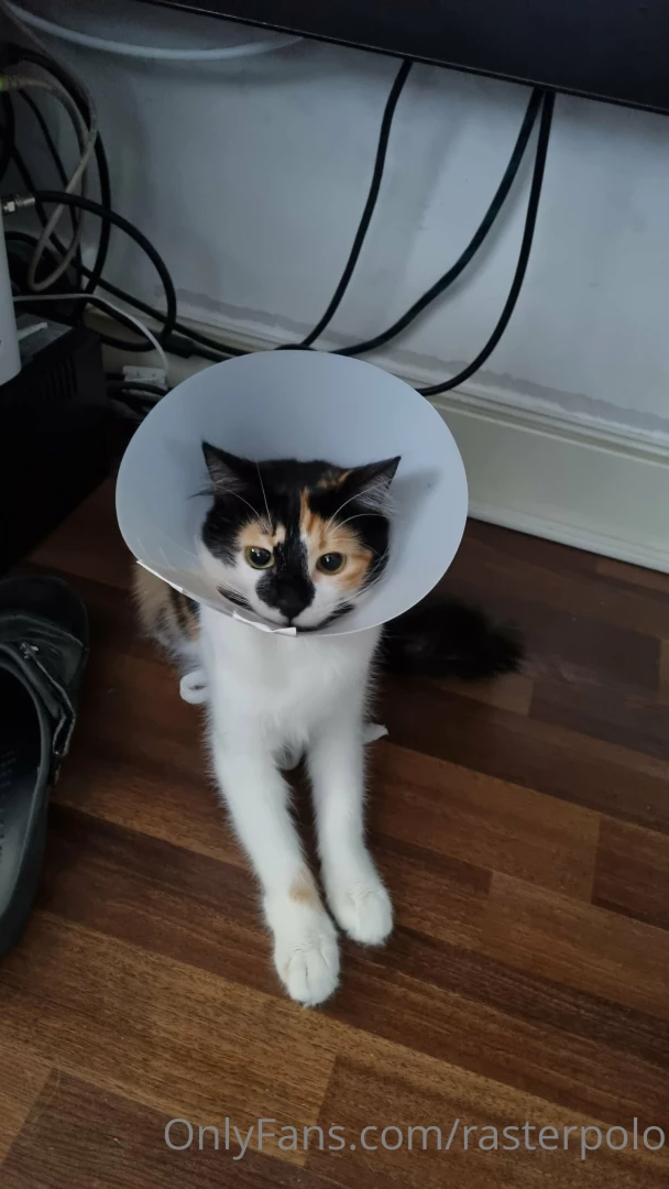 Bought a new lamp looking fine part 1 