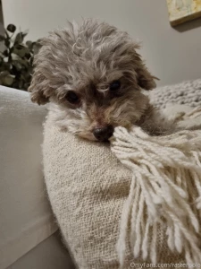 Might not be the biggest or the baddest but for being 15yrs old he is part 1