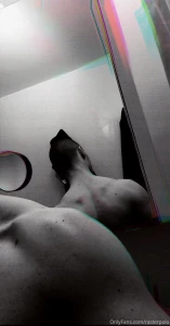 Back muscles