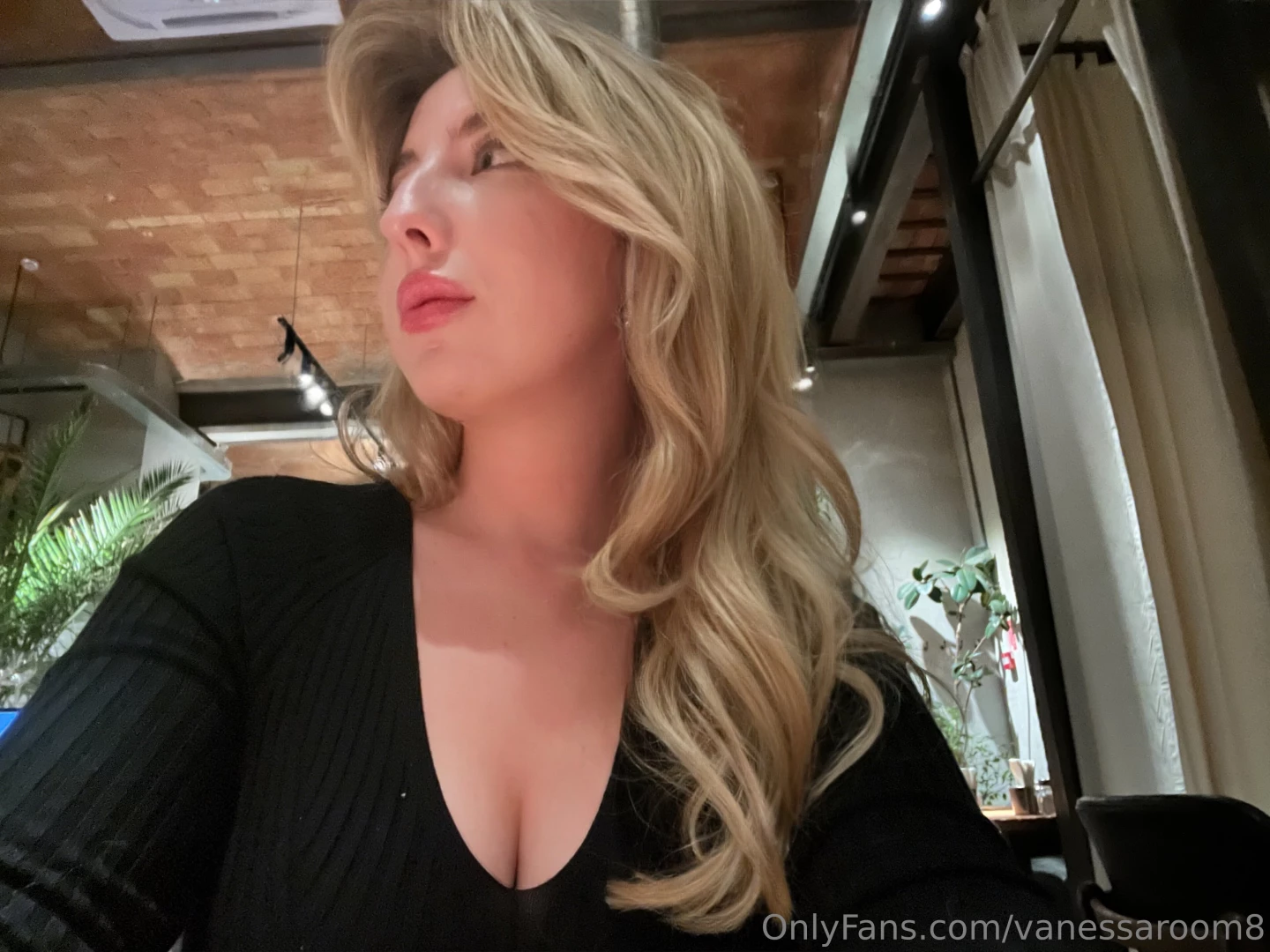 Sometimes we should just stop and look around us a forest filled with 