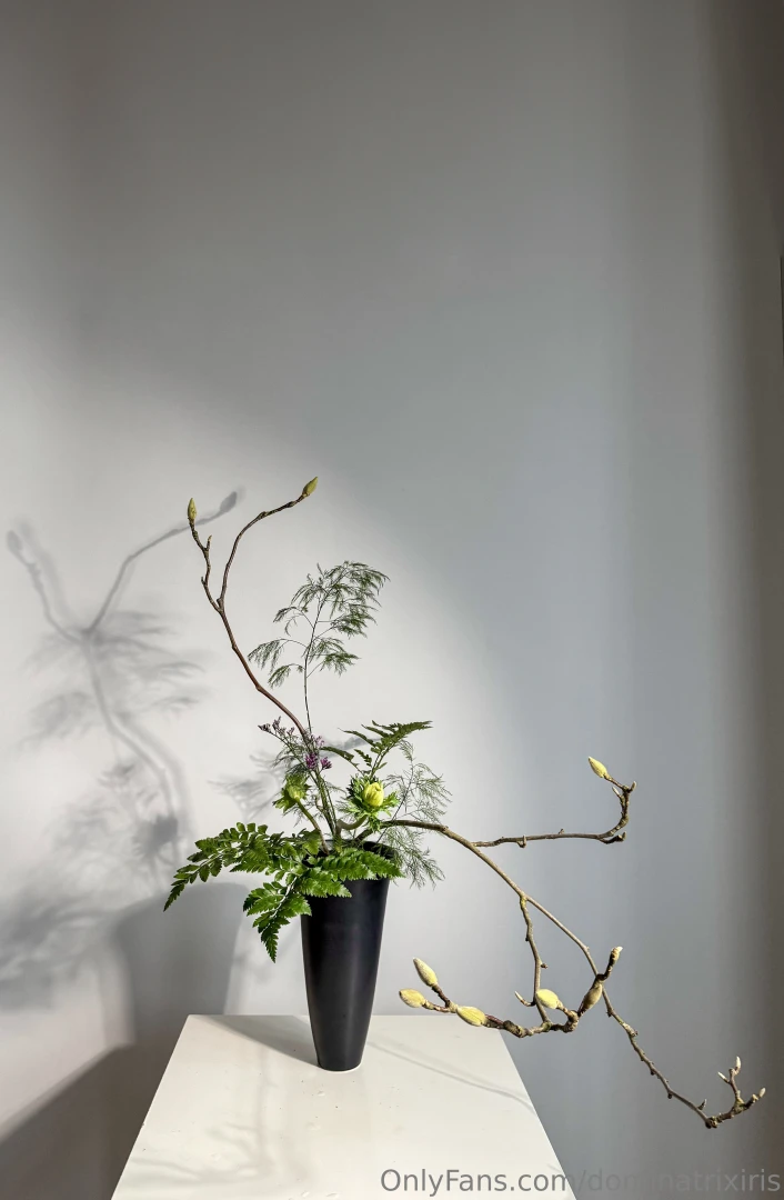 Taking a moment to appreciate the subtlety of simplicity today 